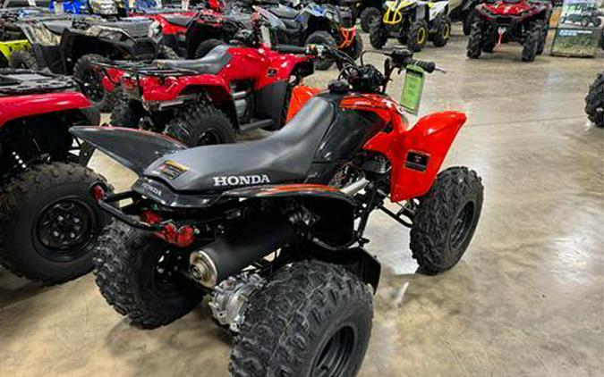 2024 Honda TRX250X