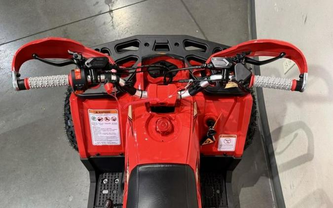 2026 Denago Powersports Mudhawk 10FI