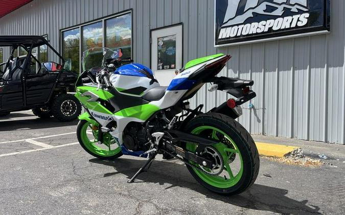 2024 Kawasaki Ninja® 500 SE 40th Anniversary Edition ABS