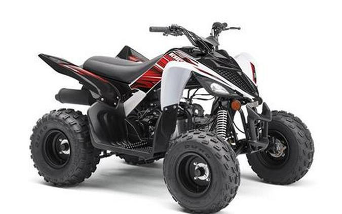 2019 Yamaha YFZ50
