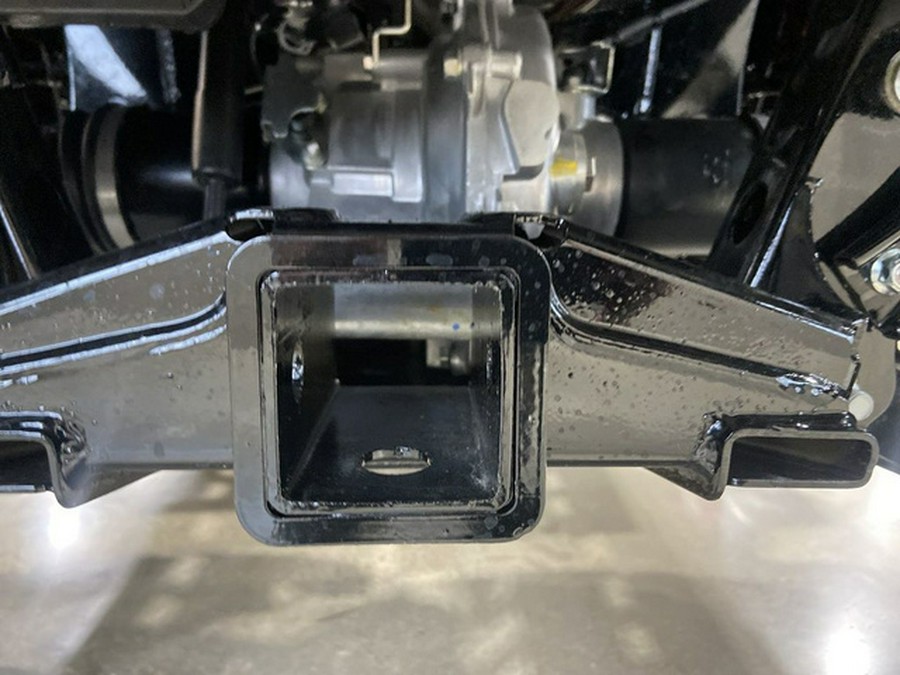 2025 Honda Pioneer 1000-5 Trail Special Edition