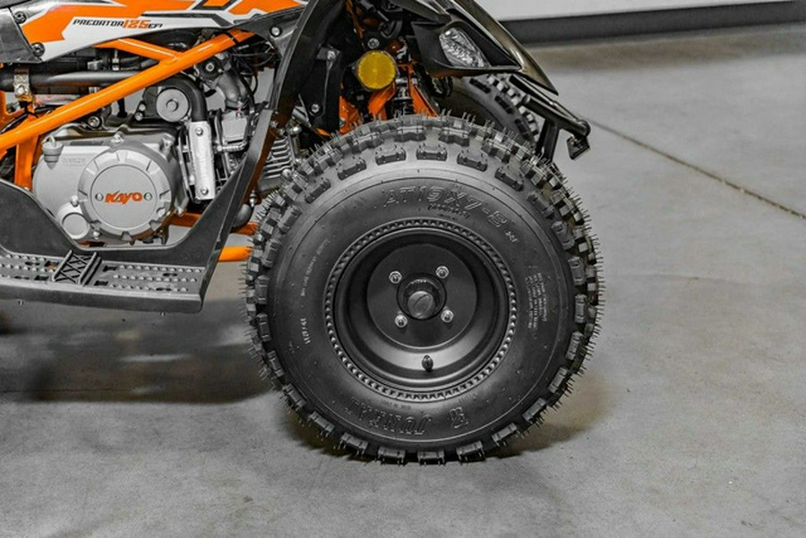 2025 Kayo Predator 125 EFI