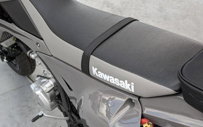 2024 Kawasaki KLX®300SM