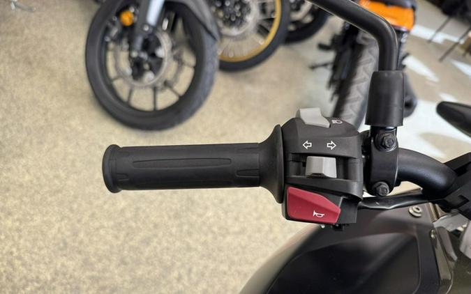 2023 BMW G 310 GS Rally