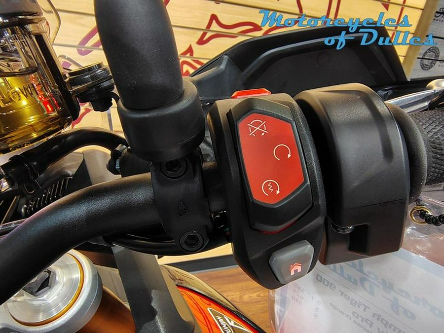 New 2025 Triumph Tiger 900 Rally Pro