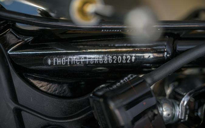 2024 Harley-Davidson Freewheeler Trike FLRT