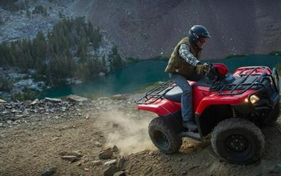 2015 Honda FourTrax® Foreman® 4x4