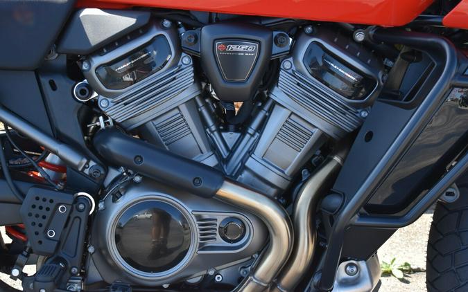 RA1250S 2026 Pan America® 1250 Special