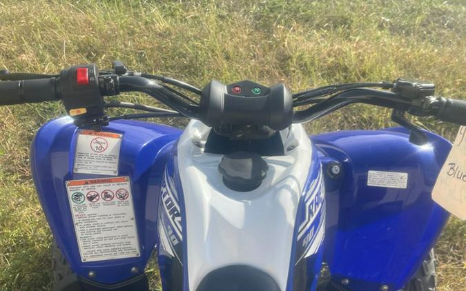 2020 Yamaha Raptor 90