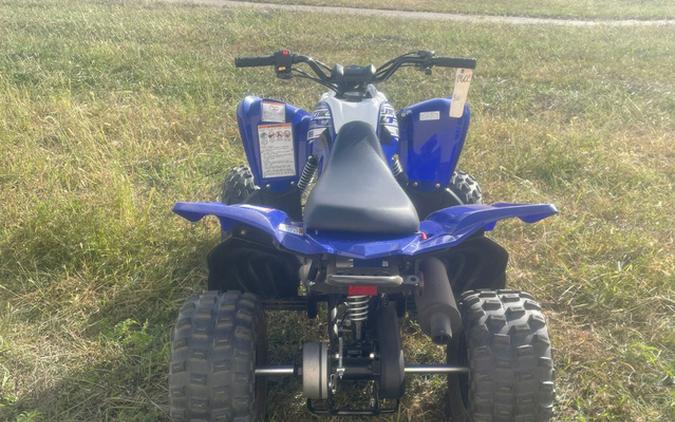 2020 Yamaha Raptor 90