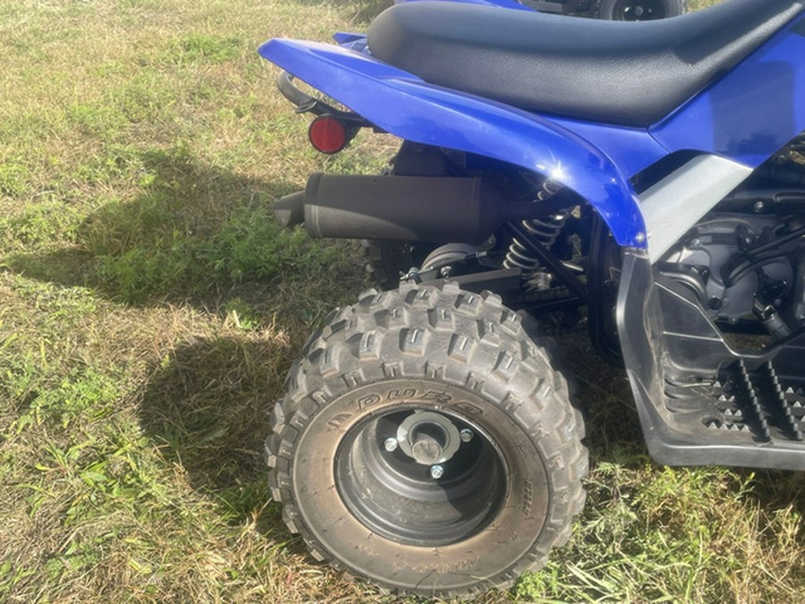 2020 Yamaha Raptor 90