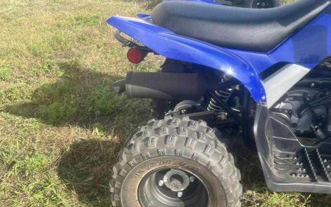 2020 Yamaha Raptor 90