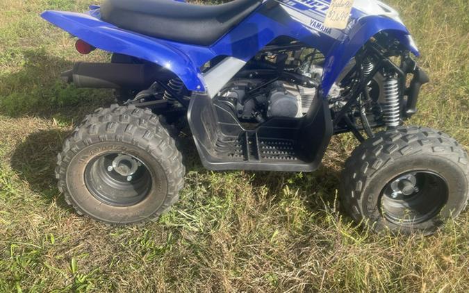 2020 Yamaha Raptor 90