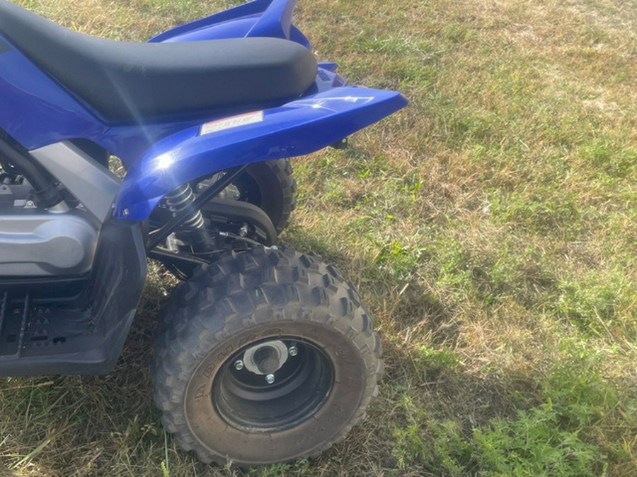 2020 Yamaha Raptor 90