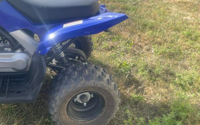 2020 Yamaha Raptor 90