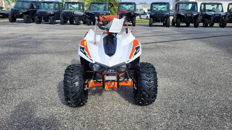 2025 Kayo Fox / Storm 70