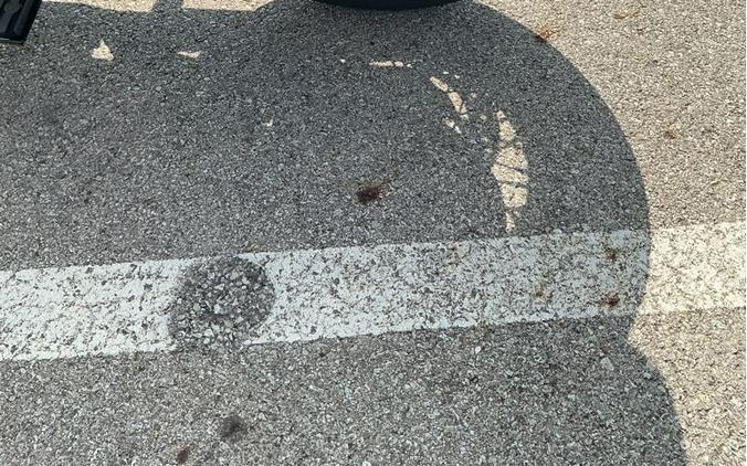 2020 Harley-Davidson® STREET BOB