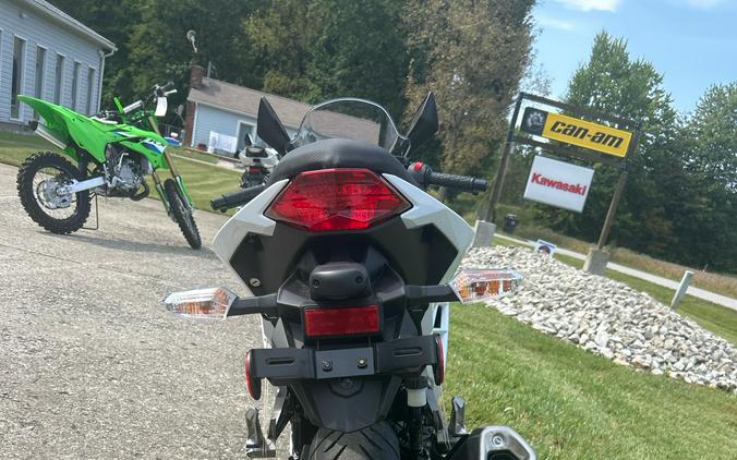 2026 Kawasaki Ninja® 300 ABS