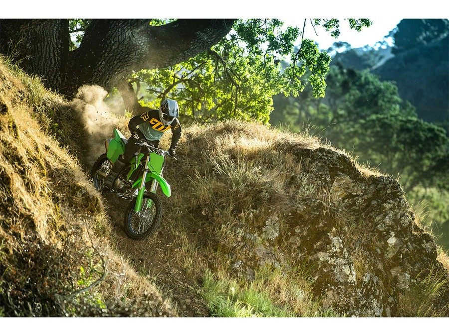 2024 Kawasaki KLX® 300R