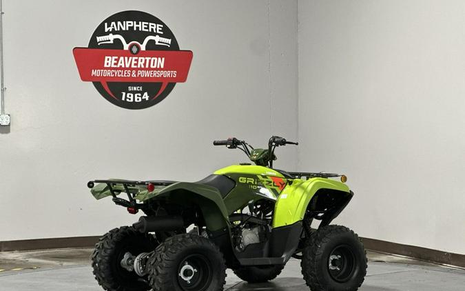2026 Yamaha Grizzly 110