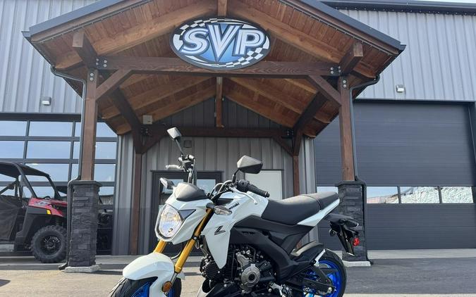 2026 Kawasaki Z125 PRO