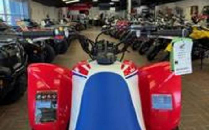 2026 Honda® TRX250X