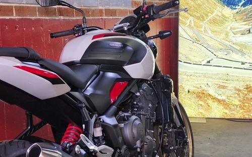 2026 Triumph Trident 800 Ash Grey