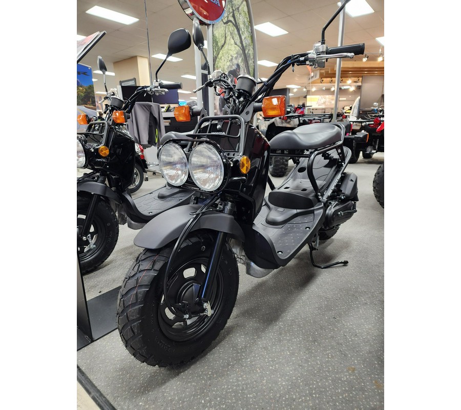 2024 Honda Ruckus Base