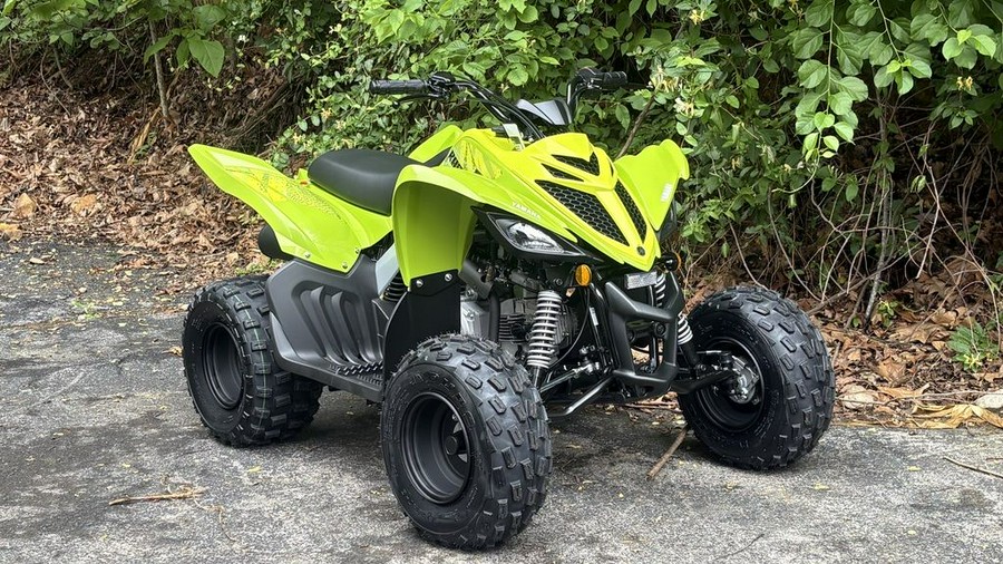 2026 Yamaha Raptor 110