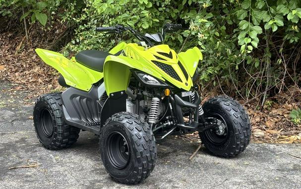 2026 Yamaha Raptor 110