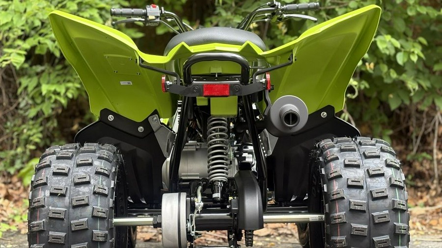 2026 Yamaha Raptor 110