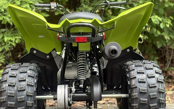 2026 Yamaha Raptor 110