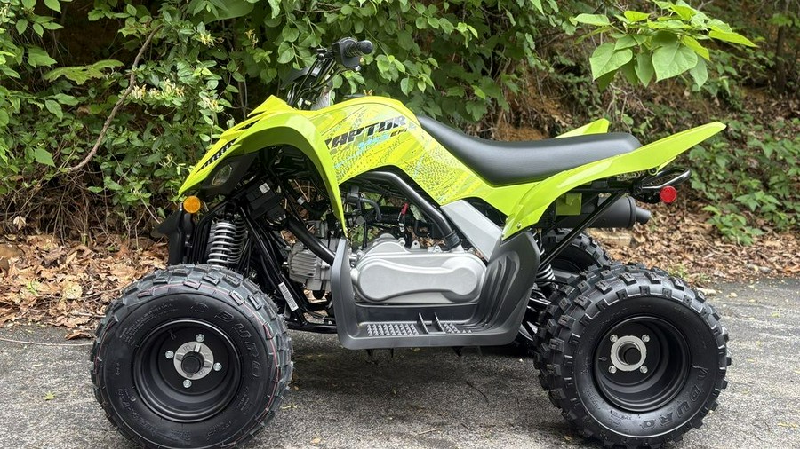 2026 Yamaha Raptor 110