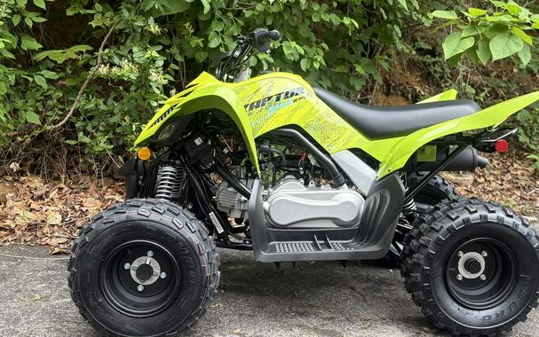 2026 Yamaha Raptor 110