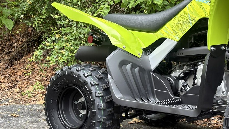 2026 Yamaha Raptor 110