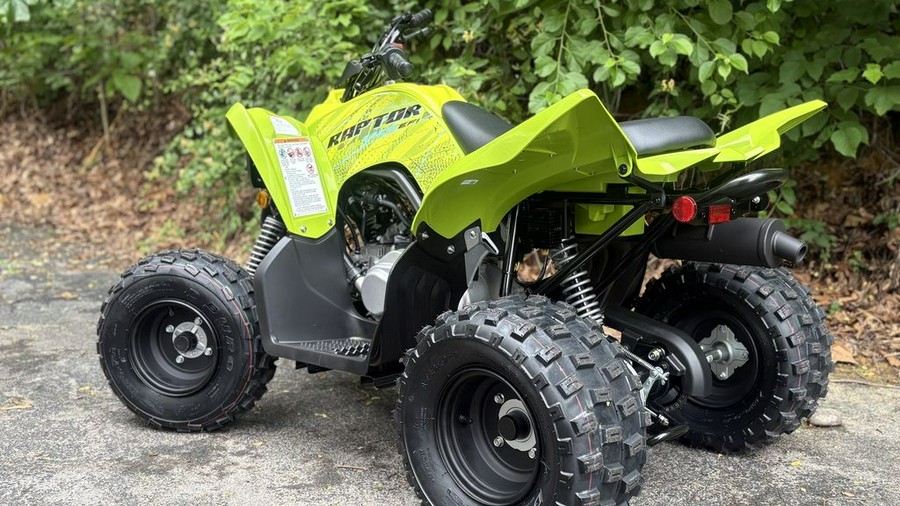 2026 Yamaha Raptor 110