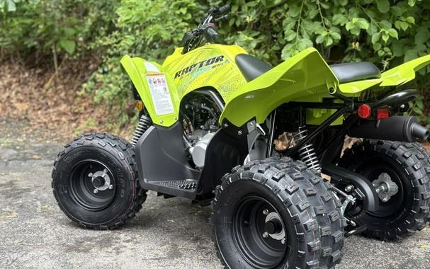2026 Yamaha Raptor 110