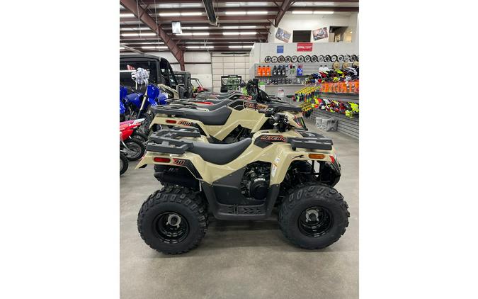 2024 Arctic Cat Alterra 90