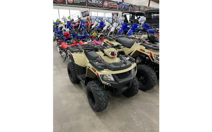 2024 Arctic Cat Alterra 90