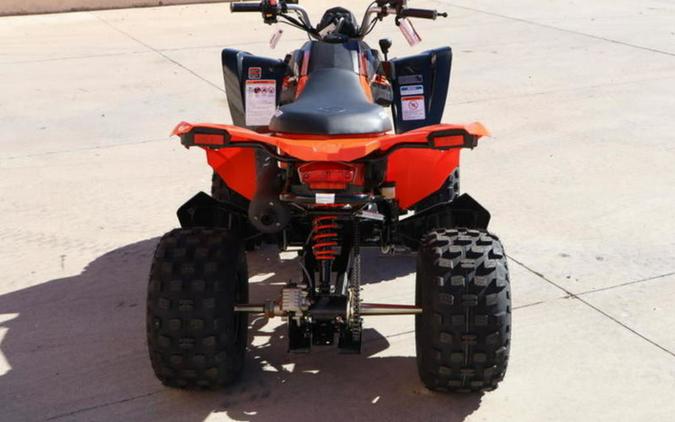 2026 Can-Am® DS 250