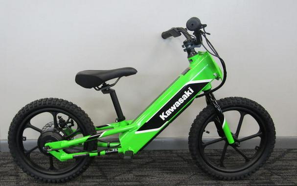 2024 Kawasaki Elektrode