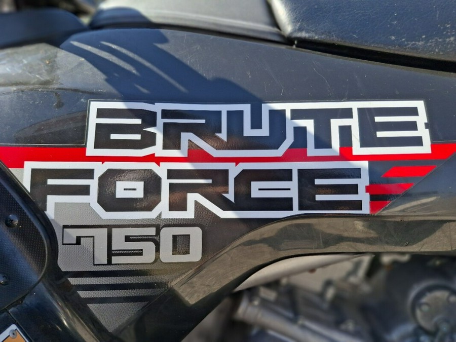 2023 Kawasaki Brute Force 750 4x4i EPS