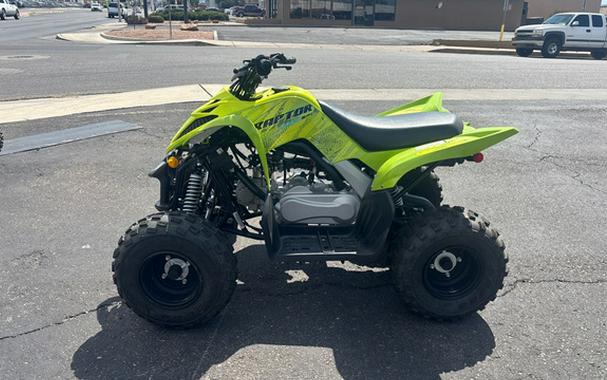 2026 Yamaha Raptor 110