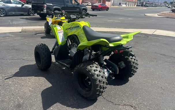 2026 Yamaha Raptor 110
