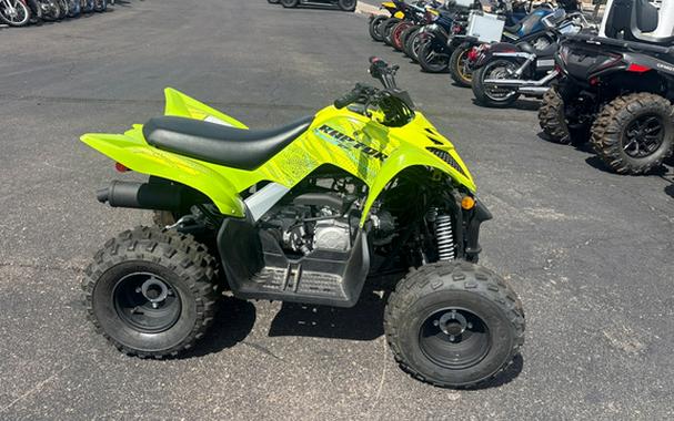 2026 Yamaha Raptor 110