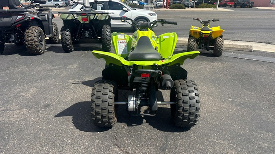 2026 Yamaha Raptor 110