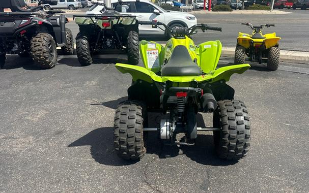 2026 Yamaha Raptor 110