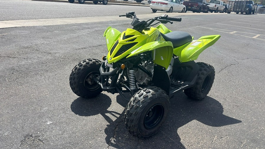 2026 Yamaha Raptor 110