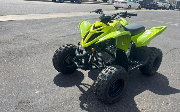 2026 Yamaha Raptor 110
