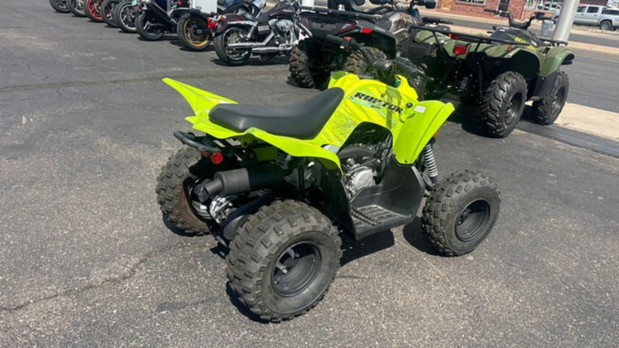 2026 Yamaha Raptor 110
